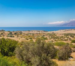 Visit Pitsidia , Heraklio